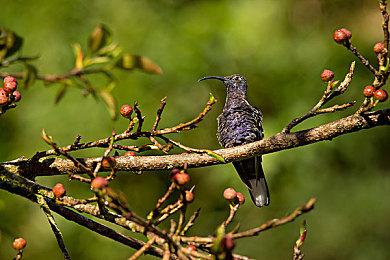 前V社工程师增强现实公司开发 著名桌游《卡坦岛》将于2023年推出AR版